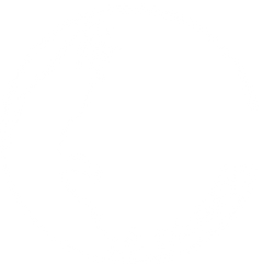 Condor logo